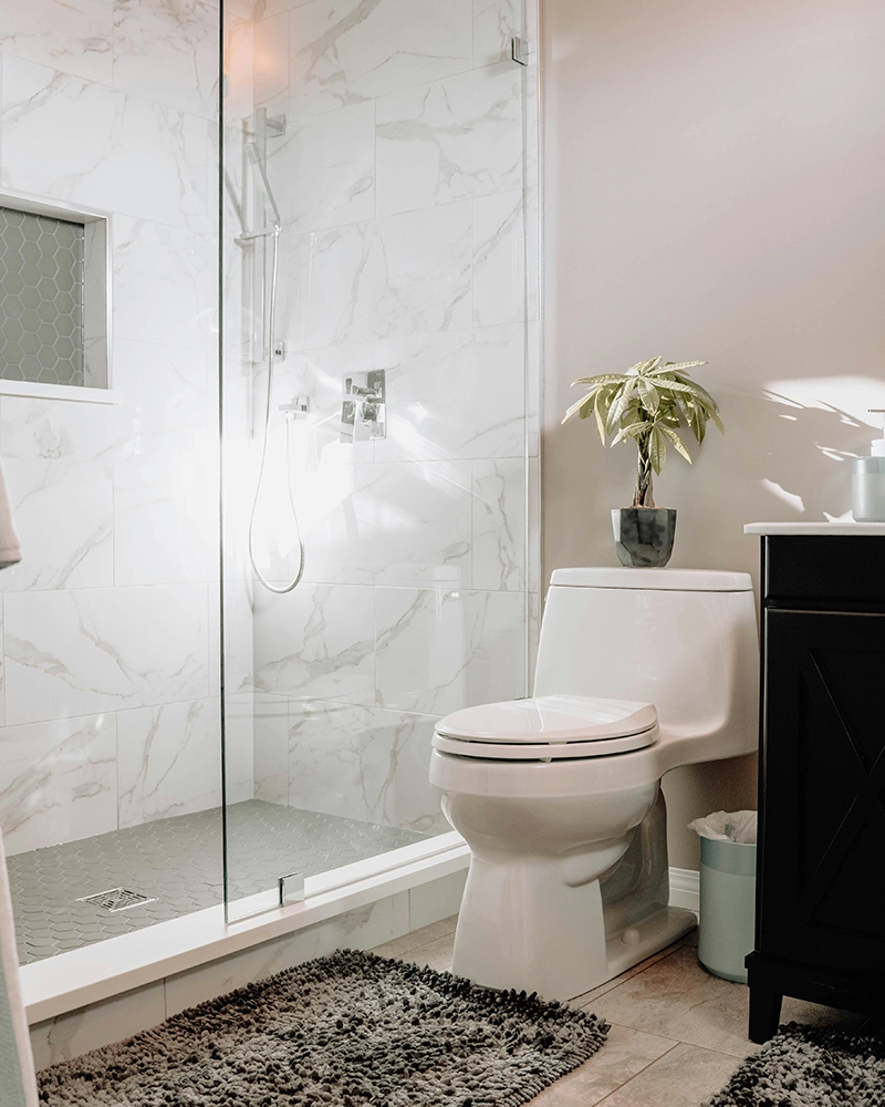 Modern bathroom with a white toilet, glass shower, dark vanity, and a potted plant.